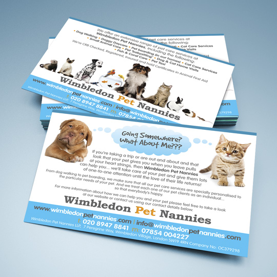 pet care a6 flyers